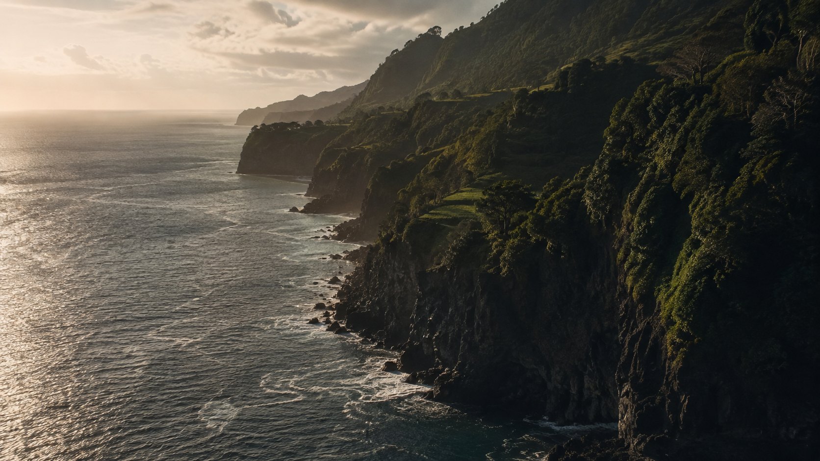 A volcanic Atlantic coastline, dark cliffs under dense green, silver ocean