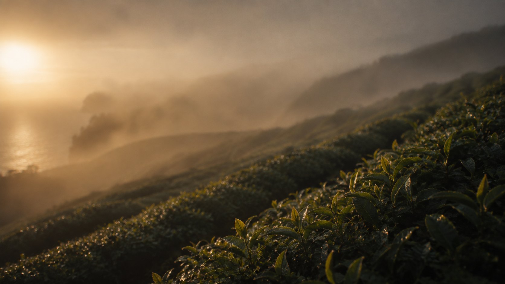 Why the mist matters