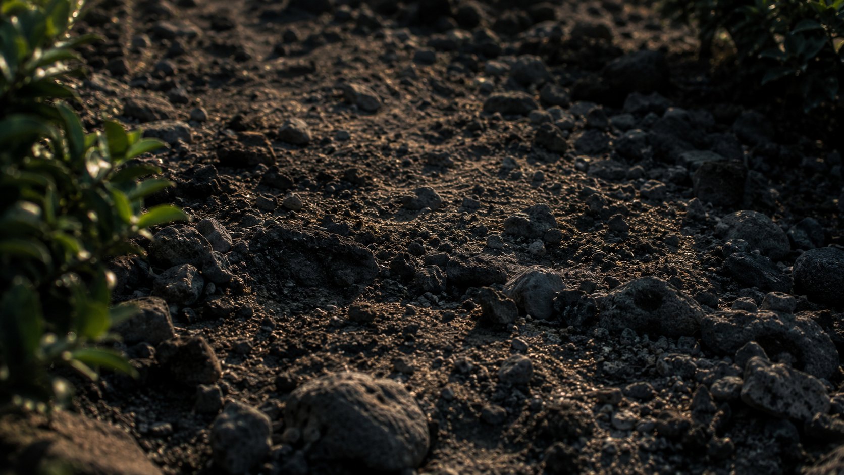 Dark volcanic soil and basalt gravel